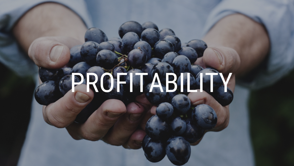 Custom software Profitability Business Flow