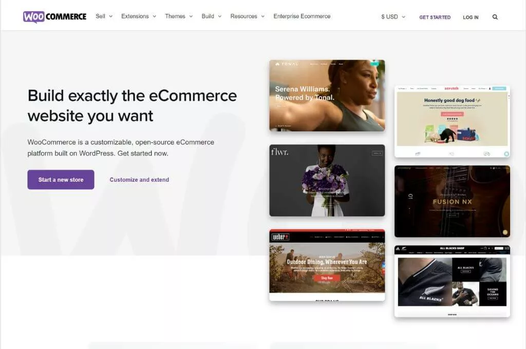 WooCommerce Ecommerce Solutions