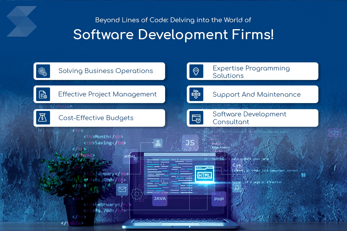 Beyond Lines of Code: Delving into the World of Software Development Firms!